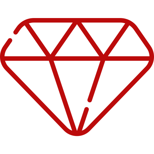 Our Vision